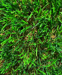 PASTO SINTÉTICO ELITE 40 MM