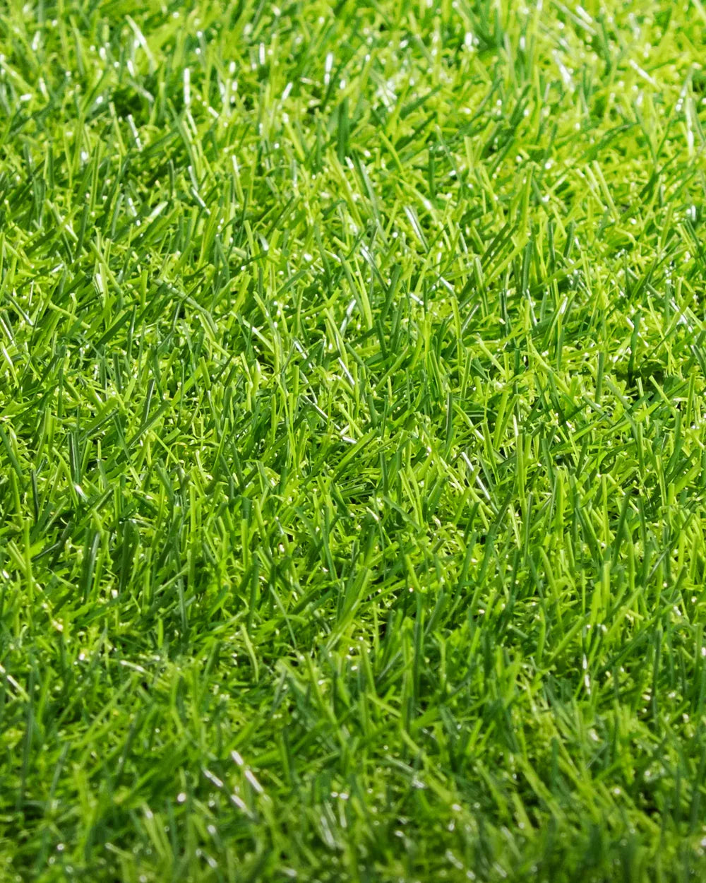 PASTO SINTÉTICO NATIVA 15 MM