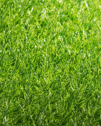PASTO SINTÉTICO NATIVA 20 MM