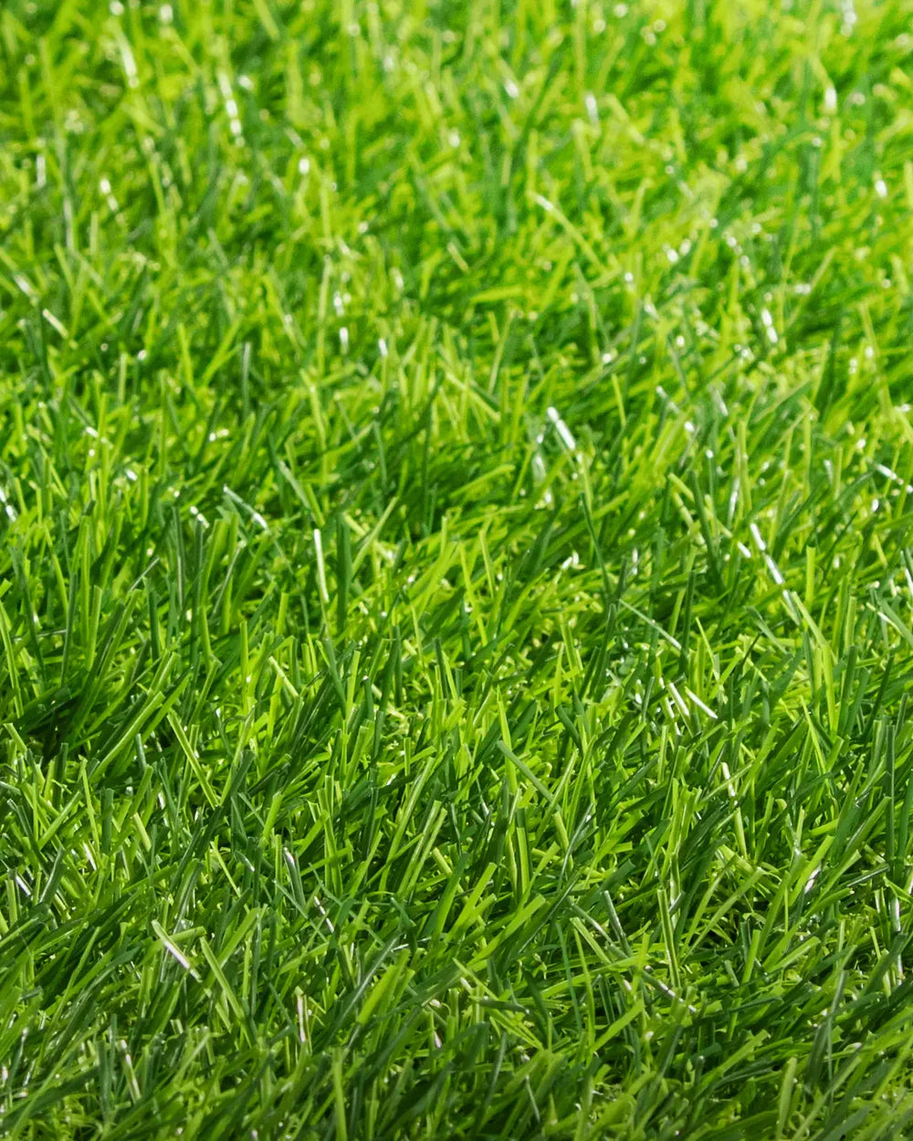 PASTO SINTÉTICO NATIVA 25 MM