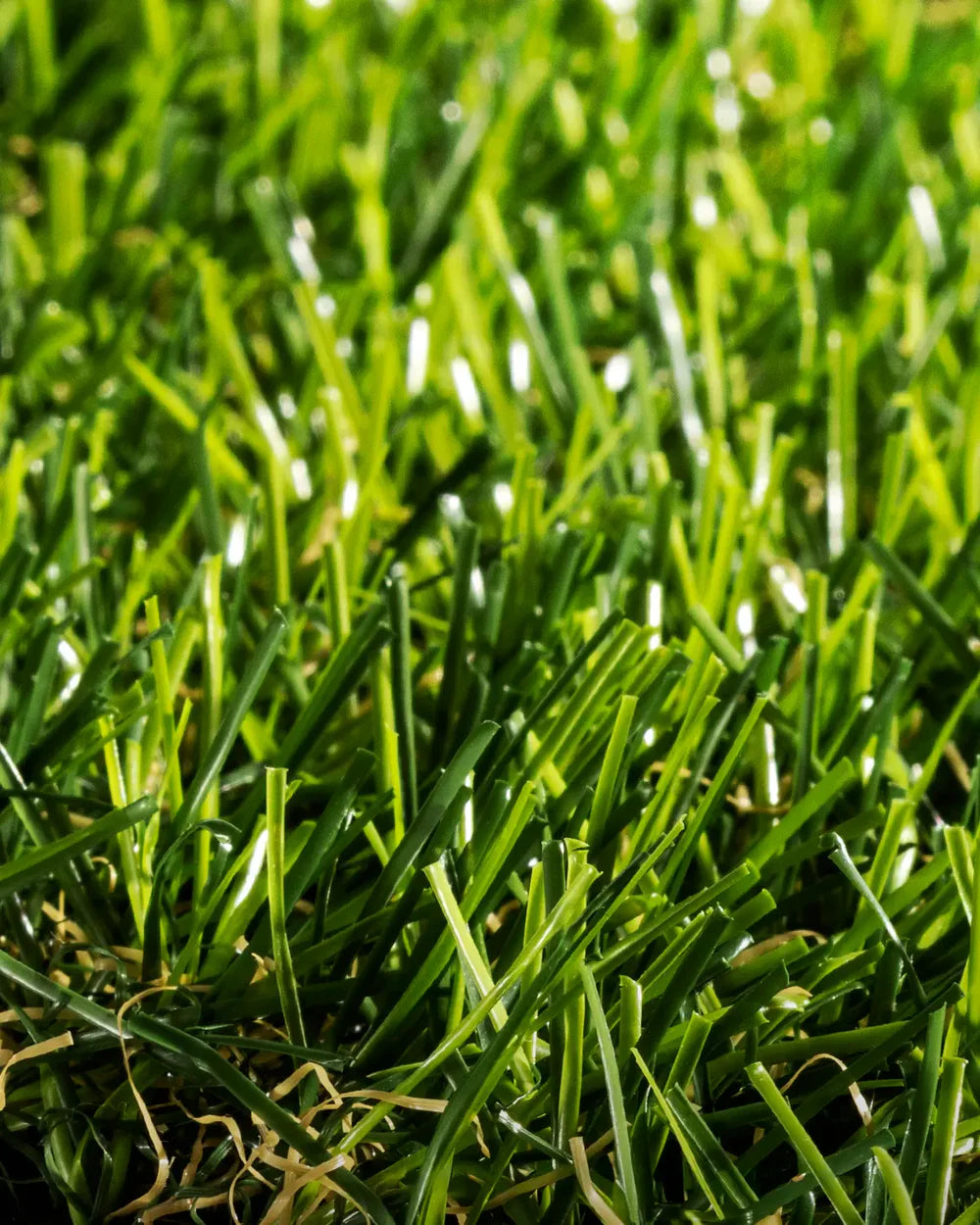 PASTO SINTÉTICO NATIVA PRO 25 MM
