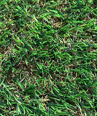 PASTO SINTÉTICO NATIVA 25 MM