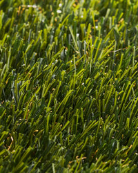 PASTO SINTÉTICO ELITE 40 MM