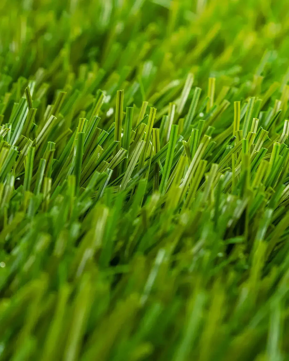 PASTO SINTÉTICO STEM 50 FIFA