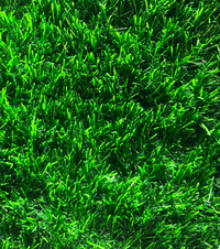 PASTO SINTÉTICO NATIVA 40 MM
