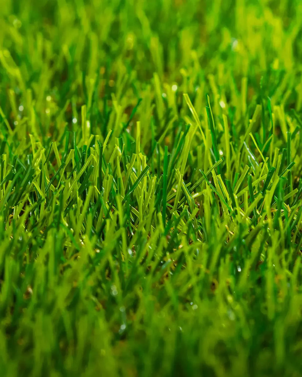 PASTO SINTÉTICO SENSE 30 MM